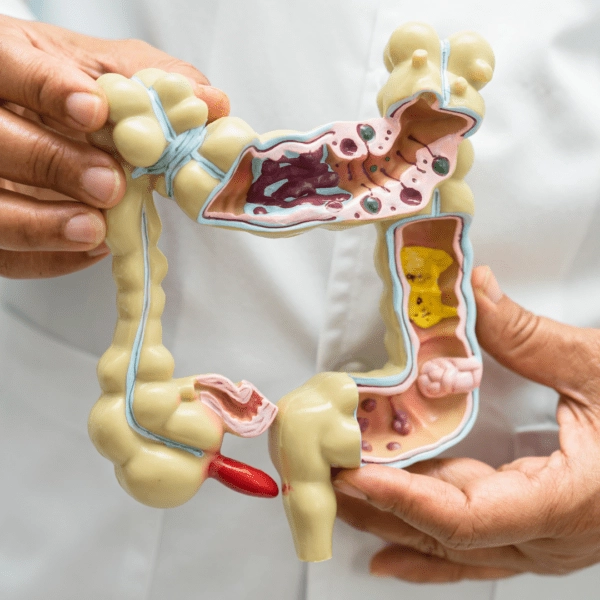 Gut image