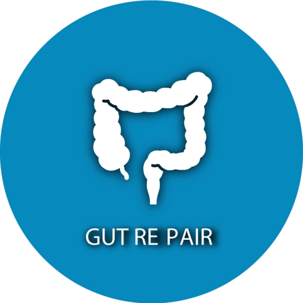 icon-Gut-Repair