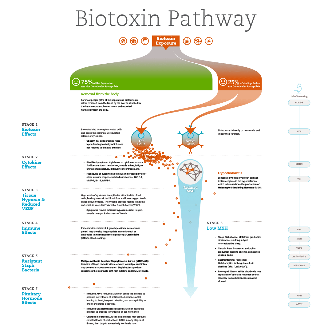 Biotoxin-Pathway-v1.6-Square