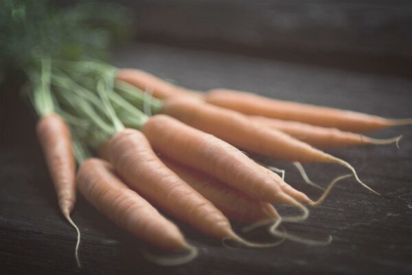carrots-sepia