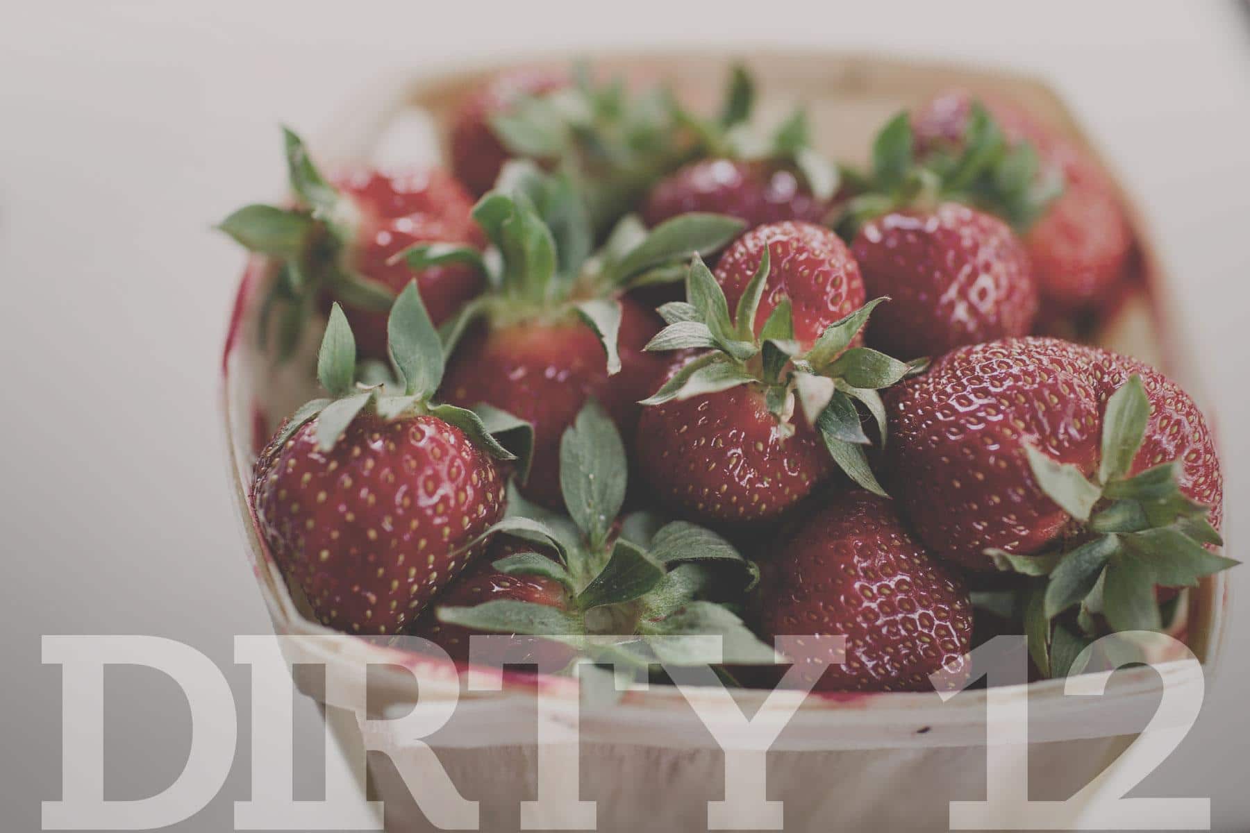 dirtydozen