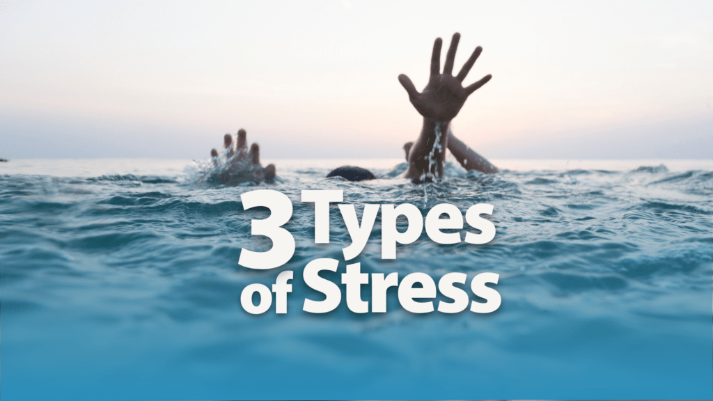 The 3 Types of Stress Why Physical, Emotional, and Biochemical Stress Can Block Healing