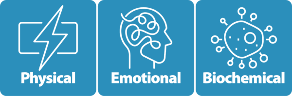 Physical, Emotional, and Biochemical Stress