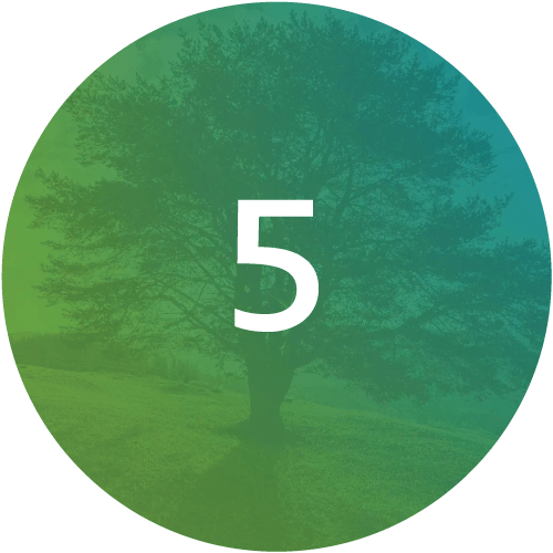 The-Functional-Medicine-Matrix-Step5