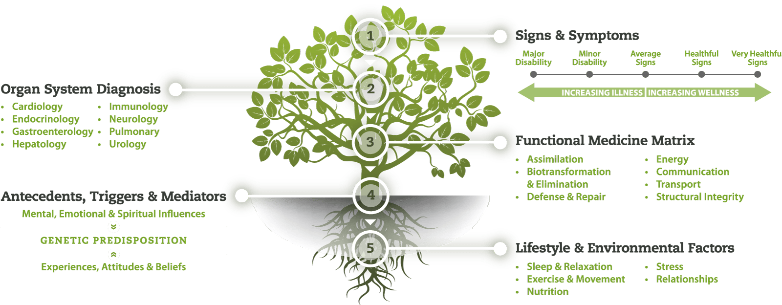 Tree-Diagram