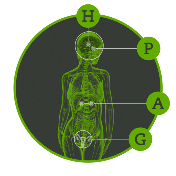 Figure 1: HPAG Axis