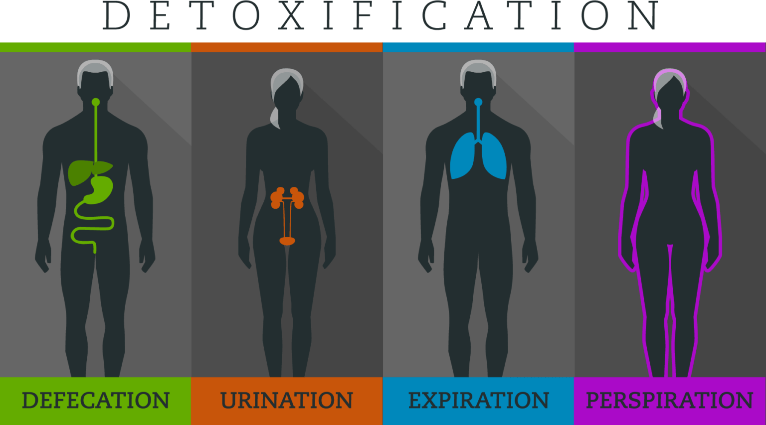 DetoxProcesses