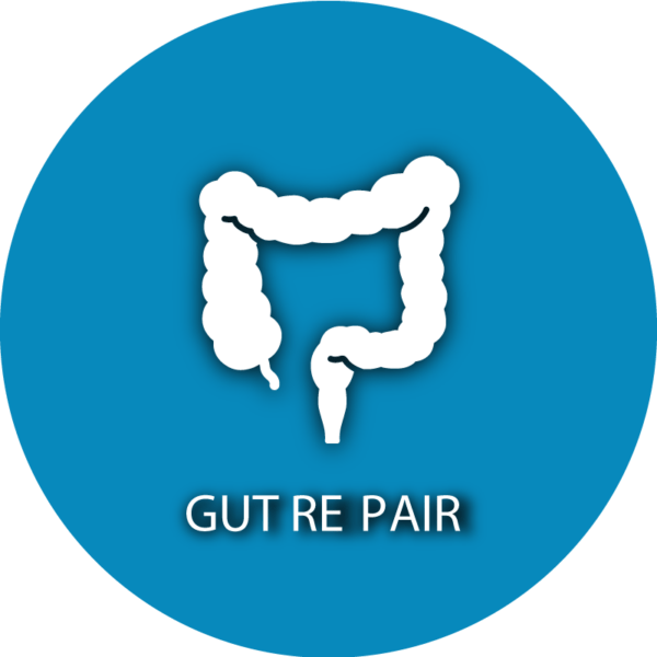 icon-Gut-Repair