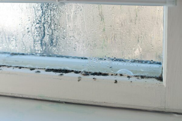 Mold-In-Window Mold-In-Window