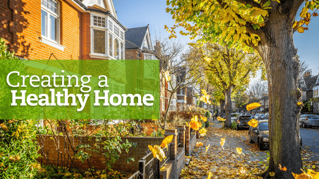 The street is filled with houses and beautiful trees during the fall season