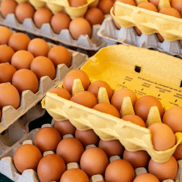 Local sourcing of eggs