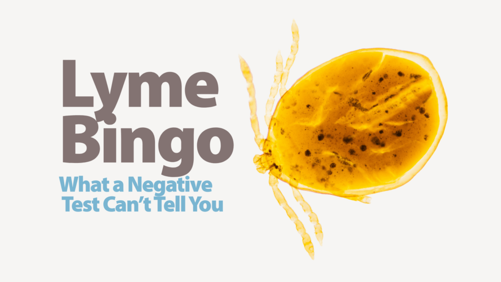 Lyme Bingo Why the Bands Your Lab Doesn't Count Are the Ones That Matter