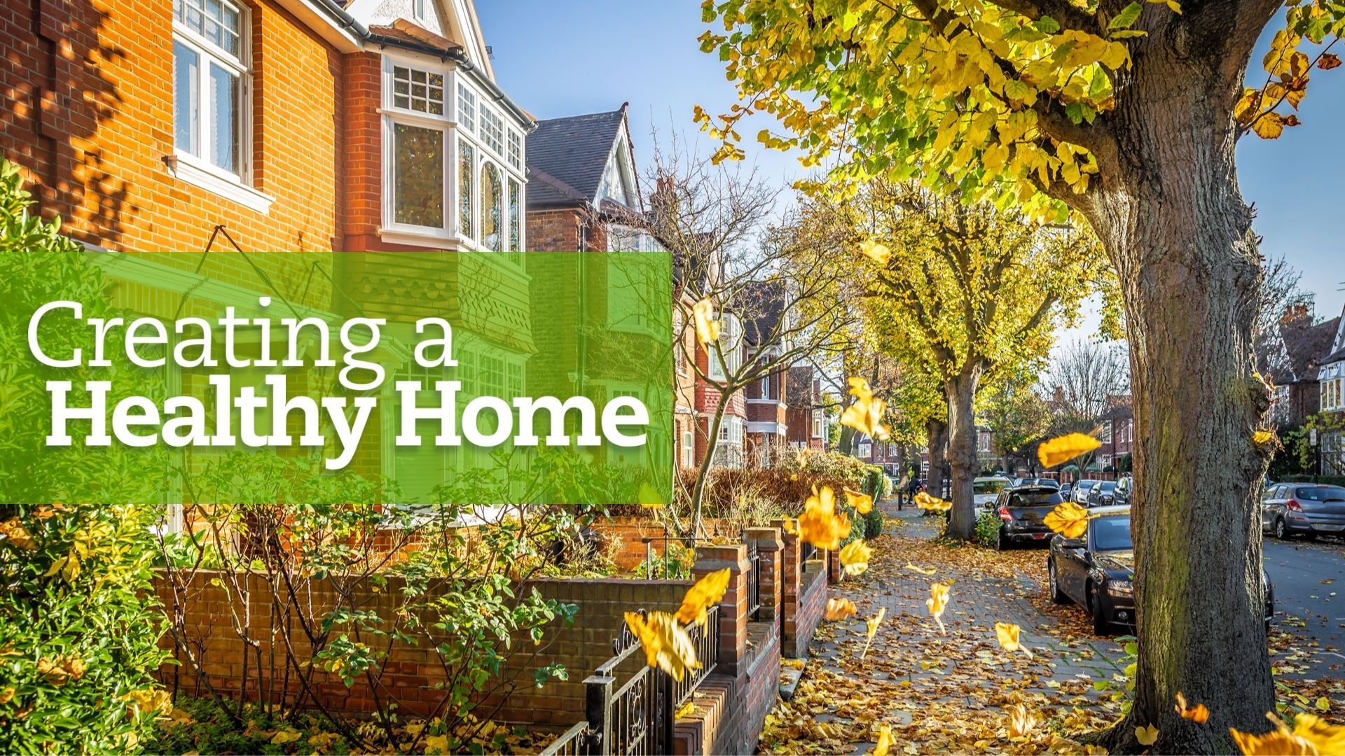 Creating a Healthy Home