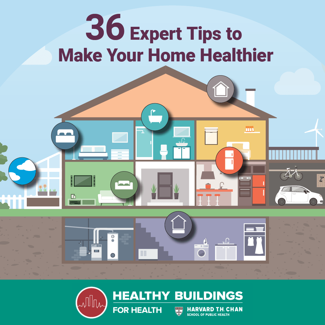 Havard-Healthy-Homes-Artboard 1