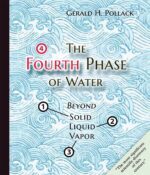 The Fourth Phase of Water