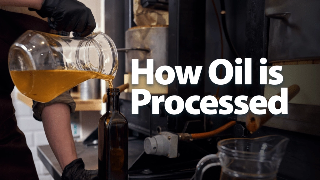 How Oil Is Processed