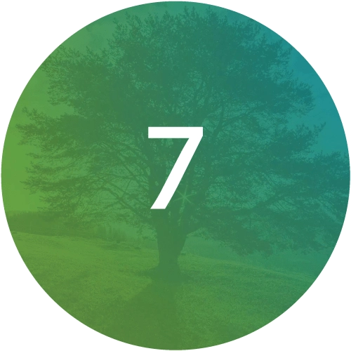 The-Functional-Medicine-Matrix-Step7