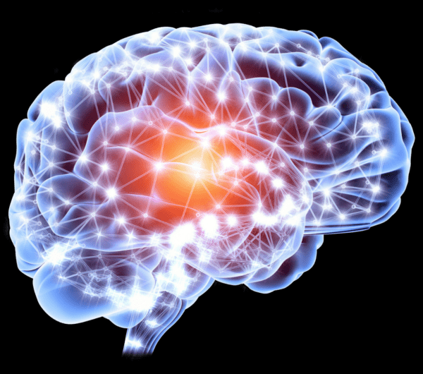 Image of a brain with inflammation
