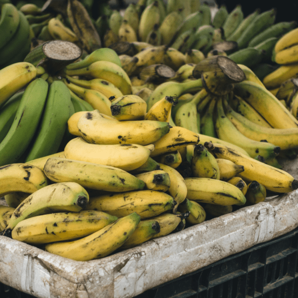 Organic Banana