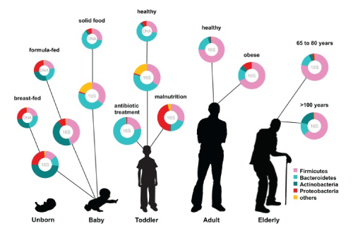 Lipski-Intro-to-GI--Microbiome-Microbiol