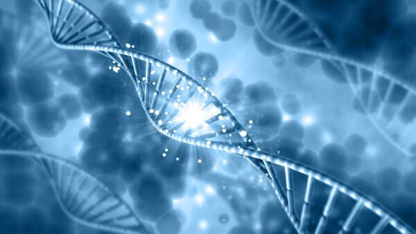 genes DNA