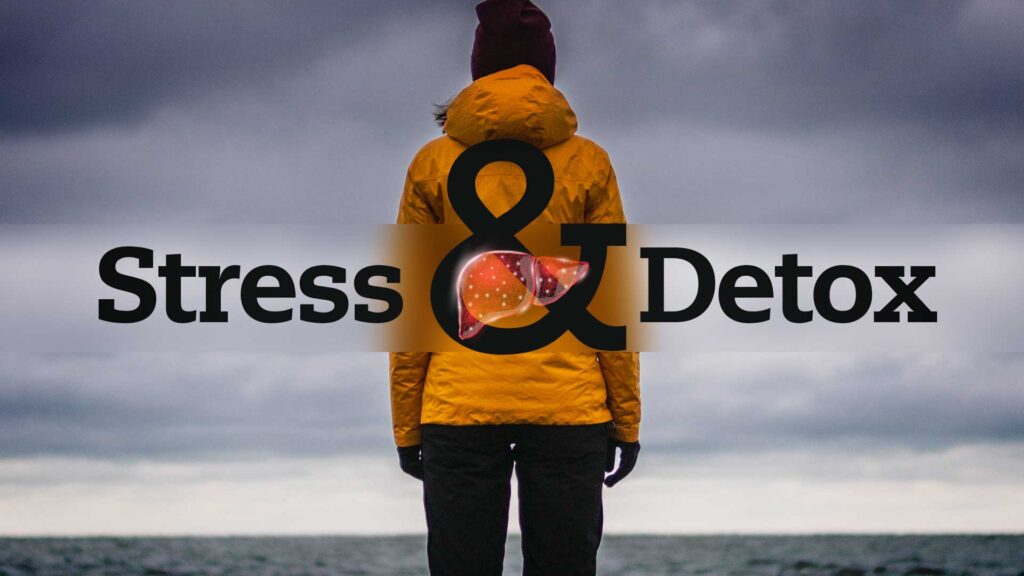 Detox-Facing-The-Storm