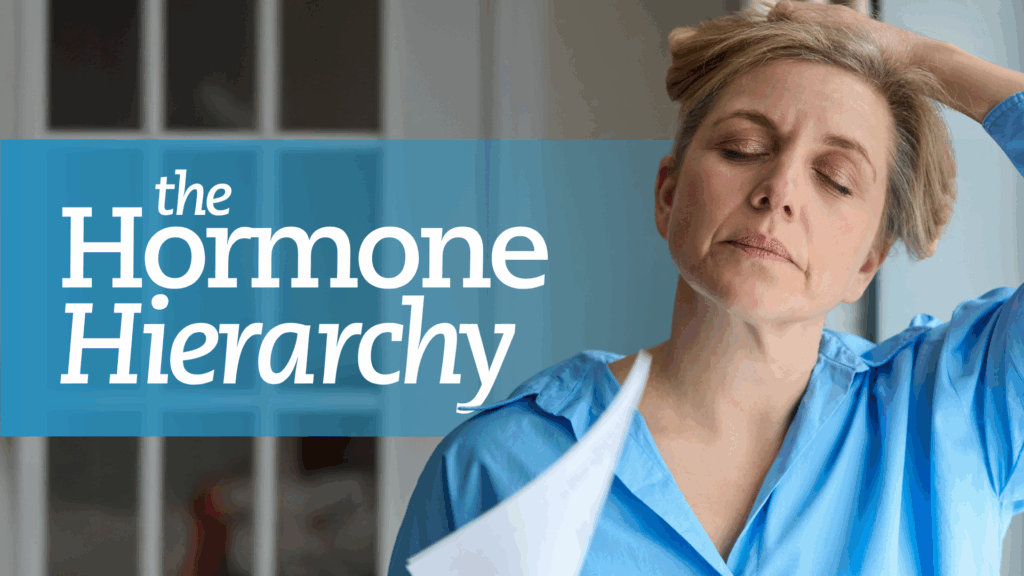 Hormone Hierarchy - Option 1