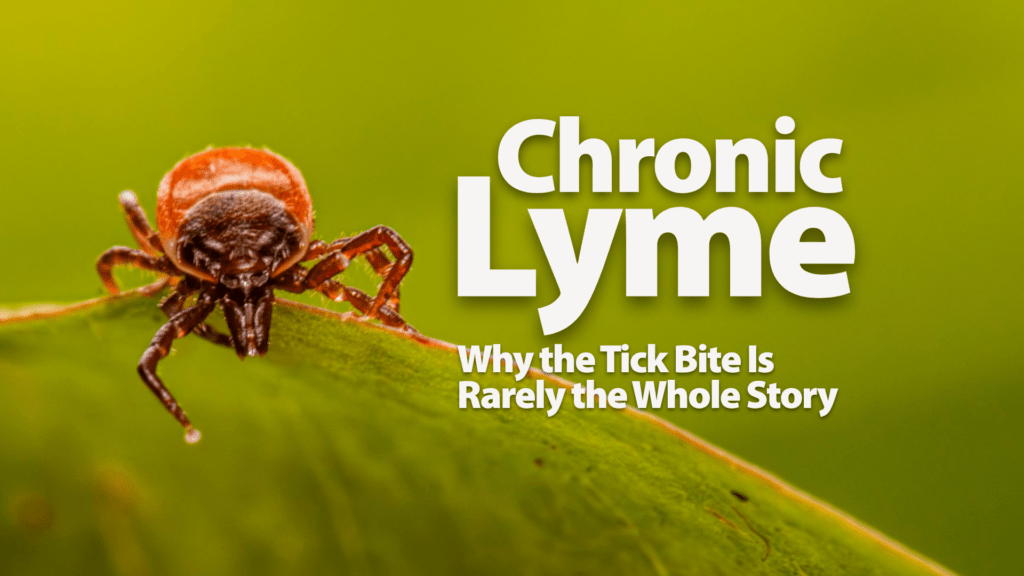 Chronic Lyme Why the Tick Bite Is Rarely the Whole Story