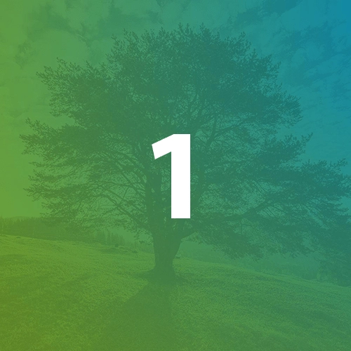 RIFM Number 1