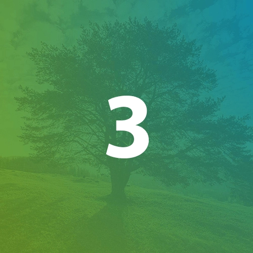 RIFM Number 3