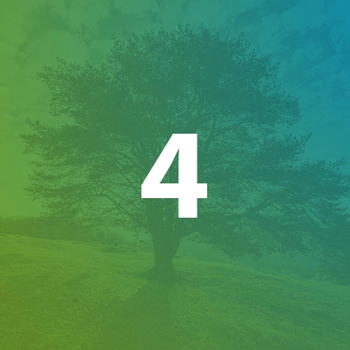 RIFM Number 4