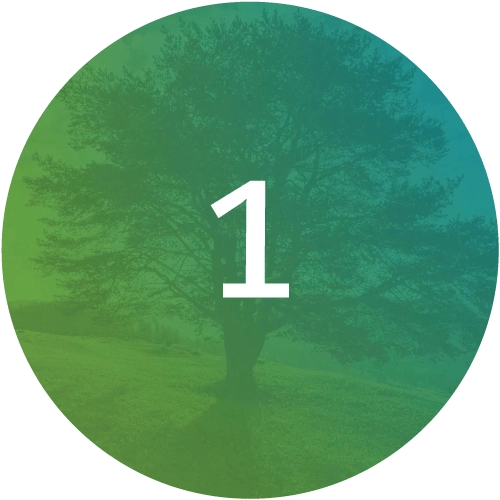 The-Functional-Medicine-Matrix-Step1