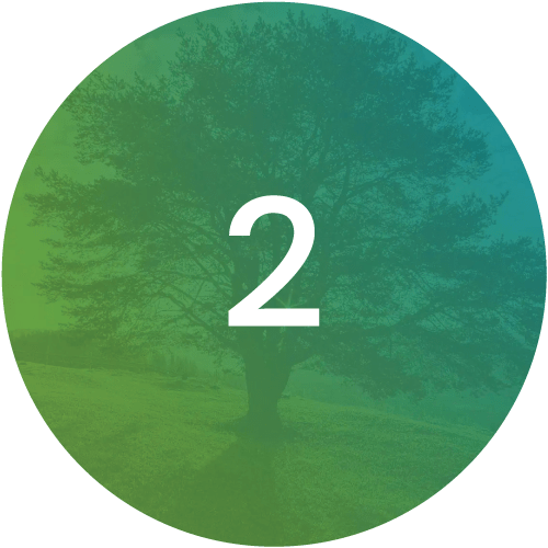 The-Functional-Medicine-Matrix-Step2