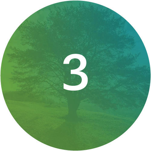 The-Functional-Medicine-Matrix-Step3