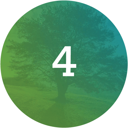 The-Functional-Medicine-Matrix-Step4