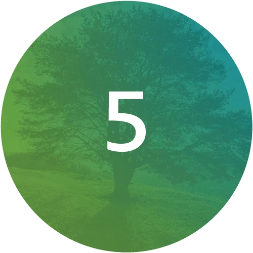 The-Functional-Medicine-Matrix-Step5