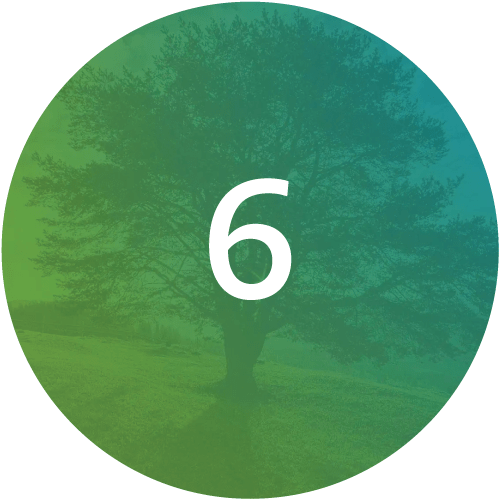 The-Functional-Medicine-Matrix-Step6