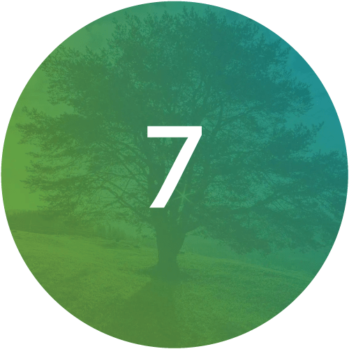 The-Functional-Medicine-Matrix-Step7