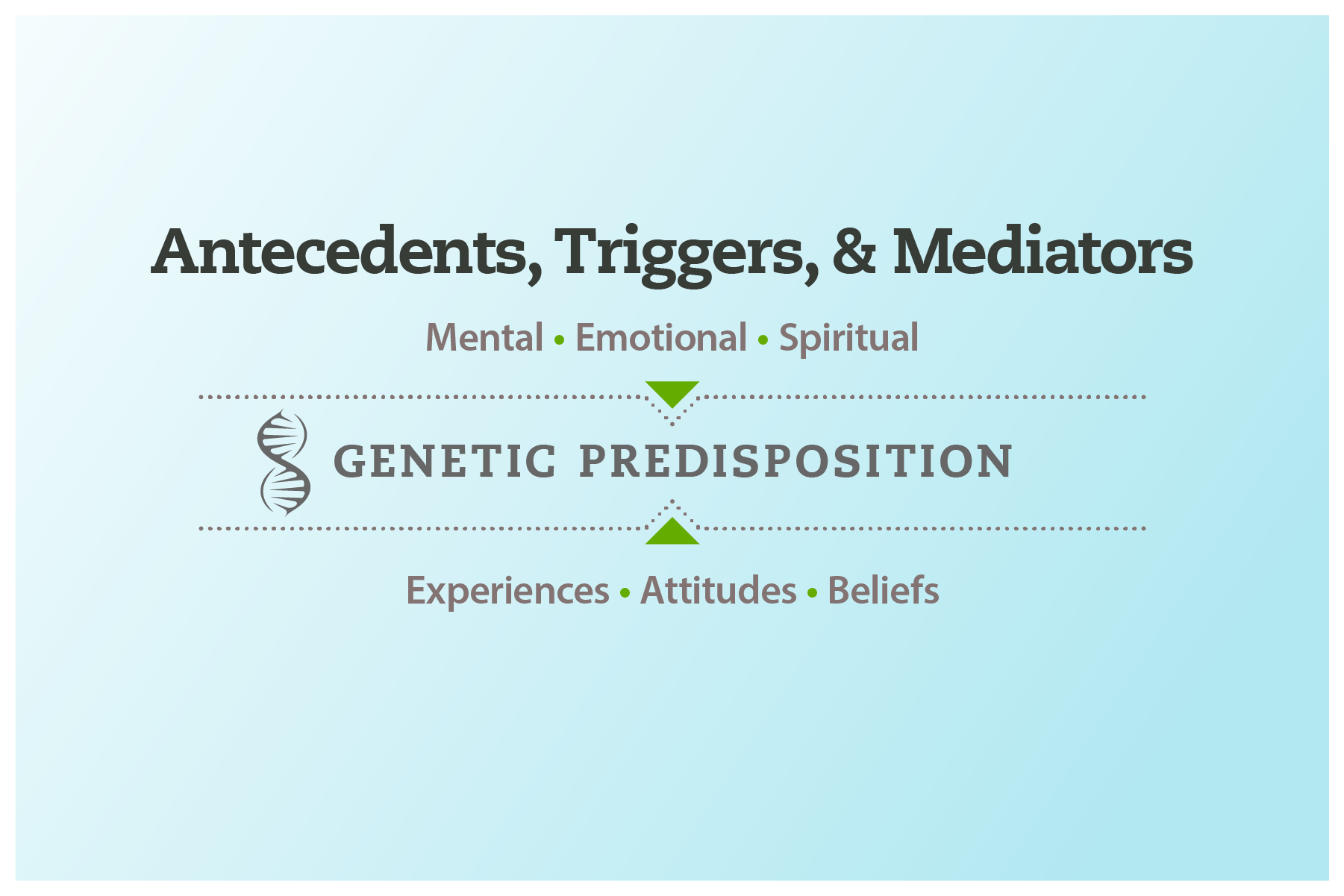 Antecedents, Triggers, and Mediators