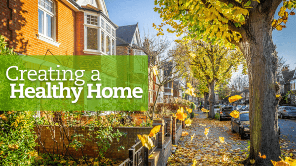 The street is filled with houses and beautiful trees during the fall season