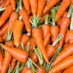 pile of carrots