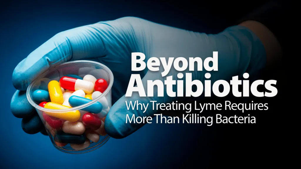 Beyond Antibiotics Why Treating Lyme Requires More Than Killing Bacteria