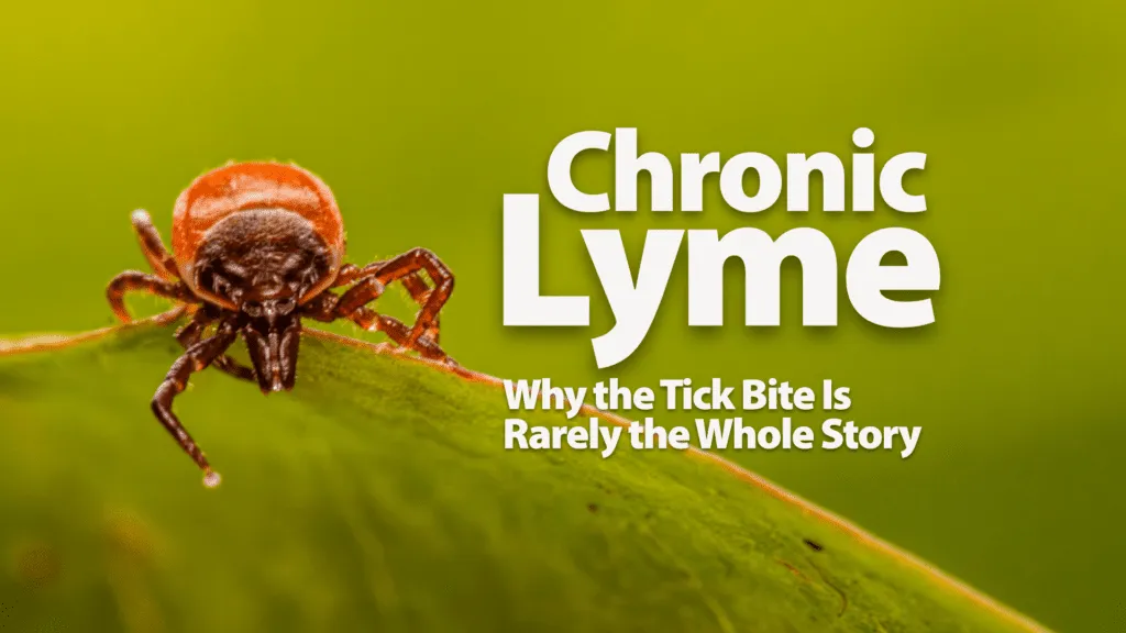 Chronic Lyme Why the Tick Bite Is Rarely the Whole Story