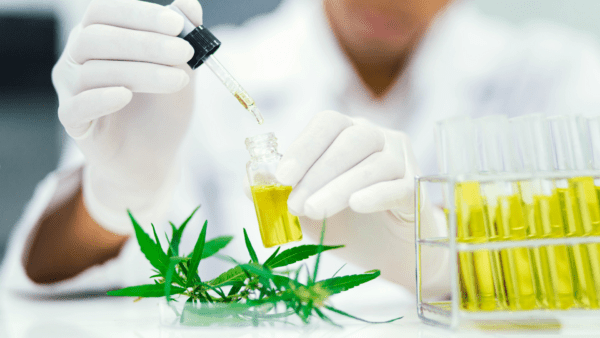 CBD & THC Extract 