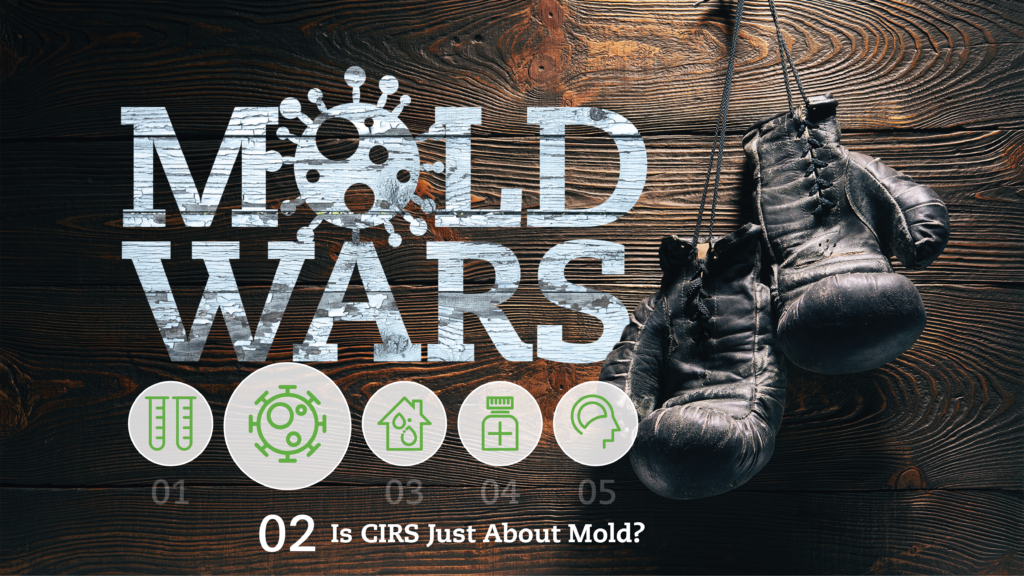 Mold Wars: Battleground 2 — Is CIRS Just About Mold?
