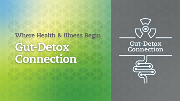 Gut-Detox-Connection