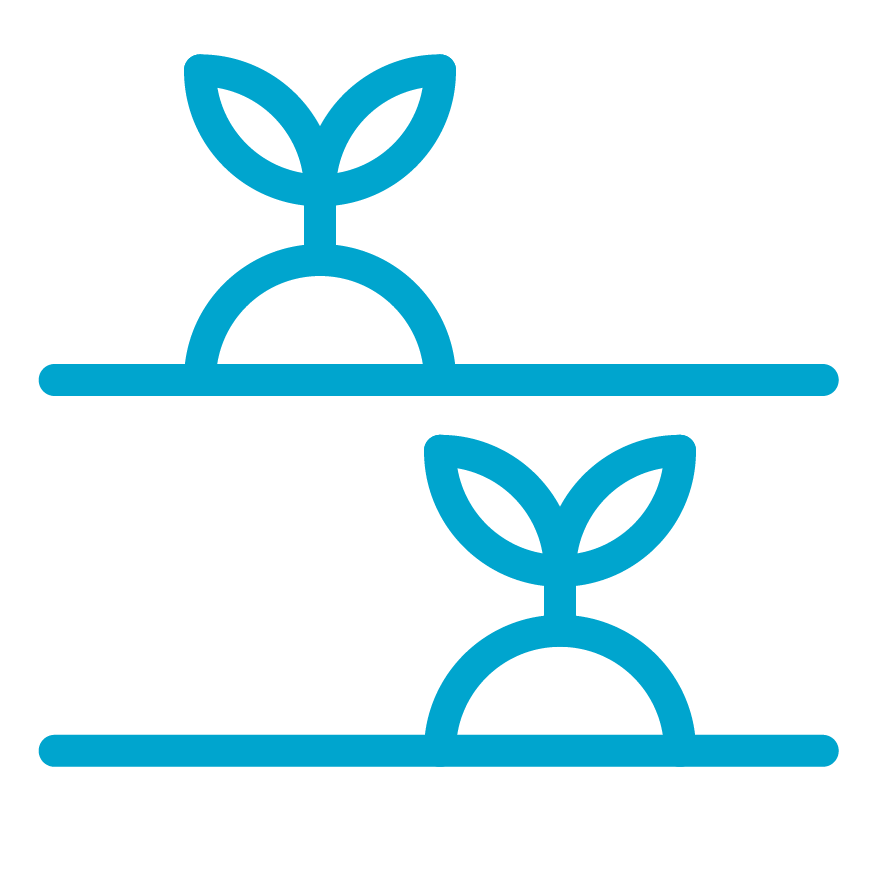 Icon-Blue-Zones-Plant-Based