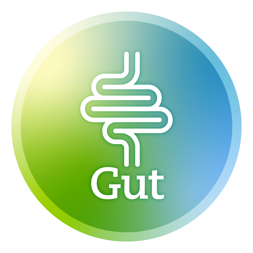 Icon-Triangle-of-Health-Gut
