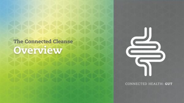 Connected Cleanse Food Plan Overview