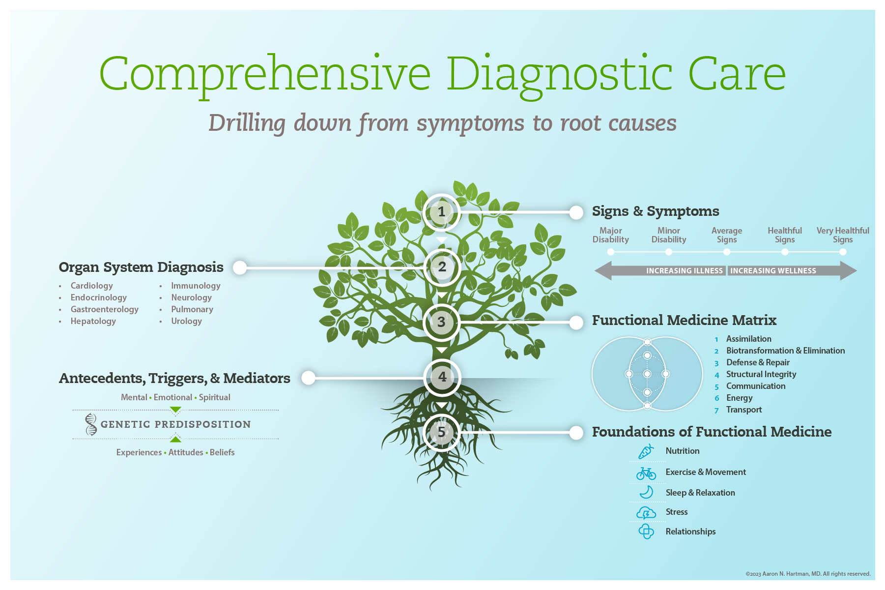 Functional Medicine Doctor Raleigh NC